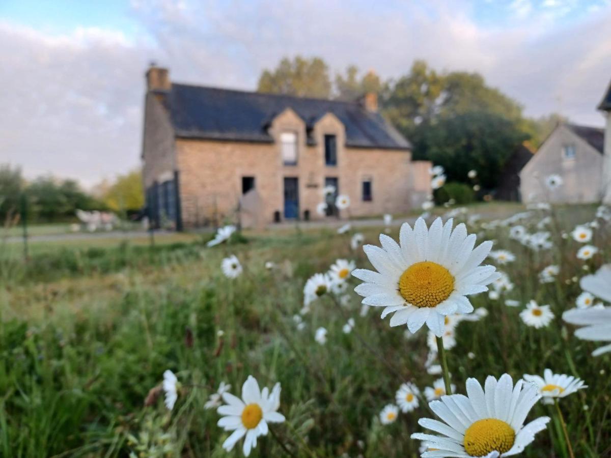 Au Petit Bonheur De Claire Et Jo Bed & Breakfast La Chapelle-Caro ภายนอก รูปภาพ