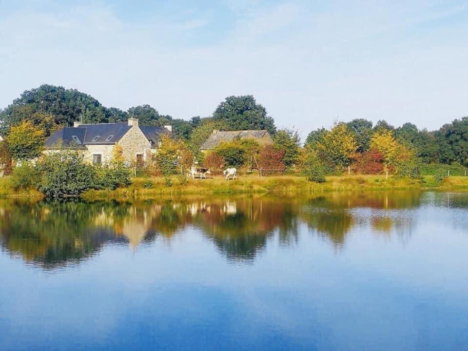 Au Petit Bonheur De Claire Et Jo Bed & Breakfast La Chapelle-Caro ภายนอก รูปภาพ